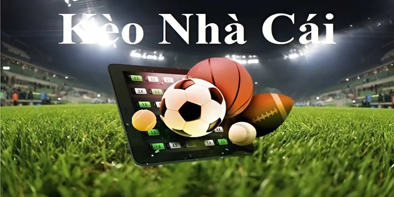 Bật mí cách soi tỷ lệ kèo nhà cái hôm nay