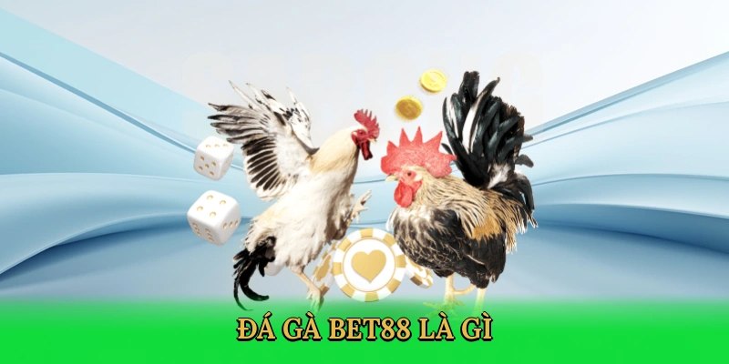 Giới thiệu chung về đá gà Bet88